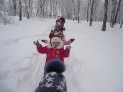 �����������