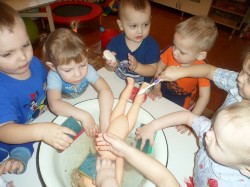 �����������