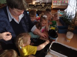 �����������