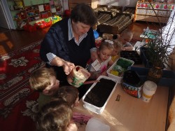 �����������