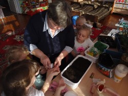 �����������