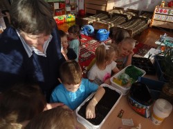 �����������