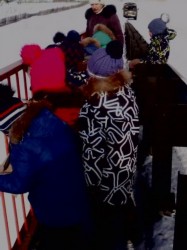 Изображение Изображение