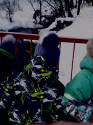 Изображение Изображение