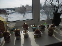 �����������