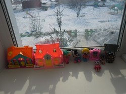 �����������