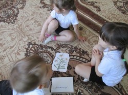 �����������