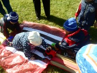 �����������