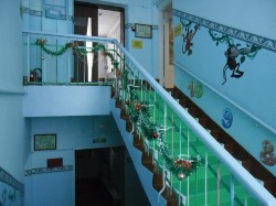 �����������