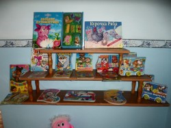 �����������