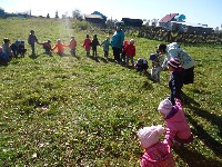 Изображение Изображение