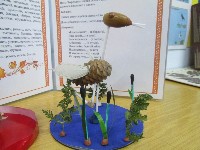 Изображение Изображение