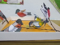 Изображение Изображение